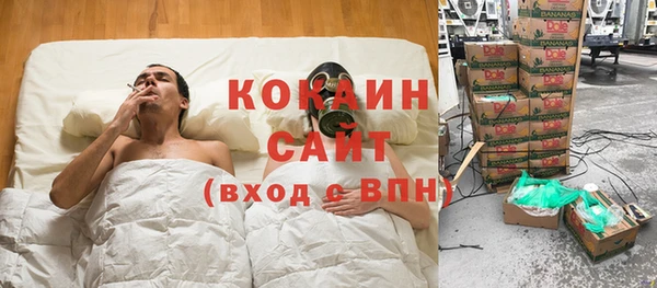 амф Богданович