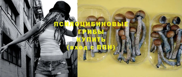 стафф Богородск