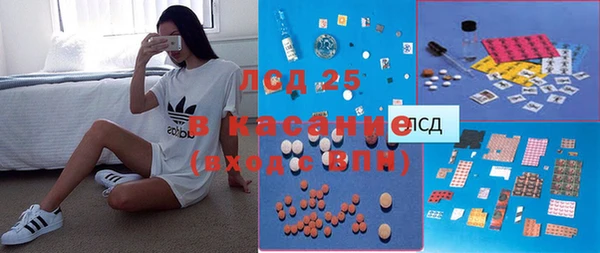 амф Богданович